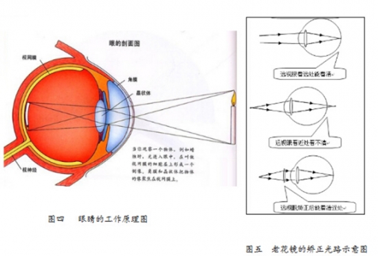 美麗島眼鏡：老花鏡不可隨意亂帶，需要在專業(yè)驗光后科學(xué)配制