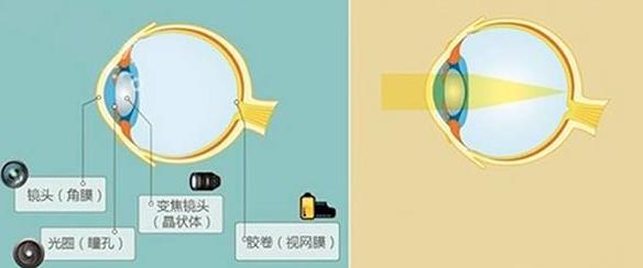 怎么佩戴老花鏡？驗(yàn)光 品牌 質(zhì)量 保養(yǎng)一個(gè)都不能少