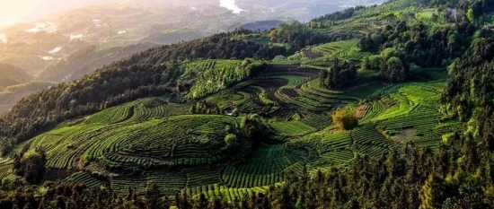 美麗島多焦鏡：這個(gè)明凈新春，以時(shí)間為軸，扶搖直上